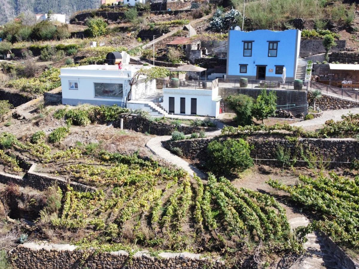 Ek Teide Finca El Milagro La Orotava Eksteriør billede