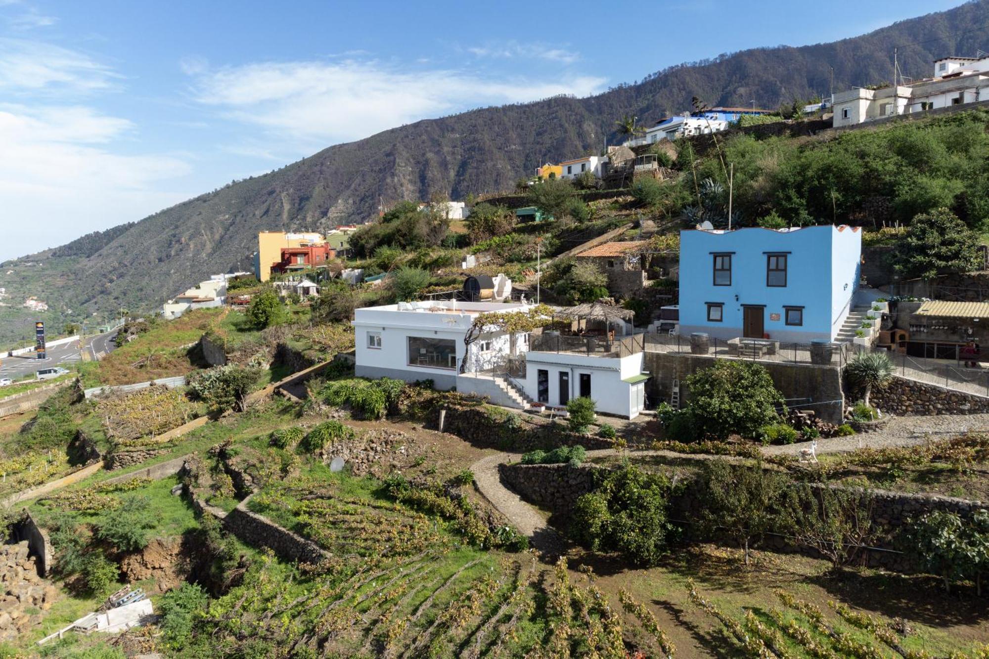 Ek Teide Finca El Milagro La Orotava Eksteriør billede