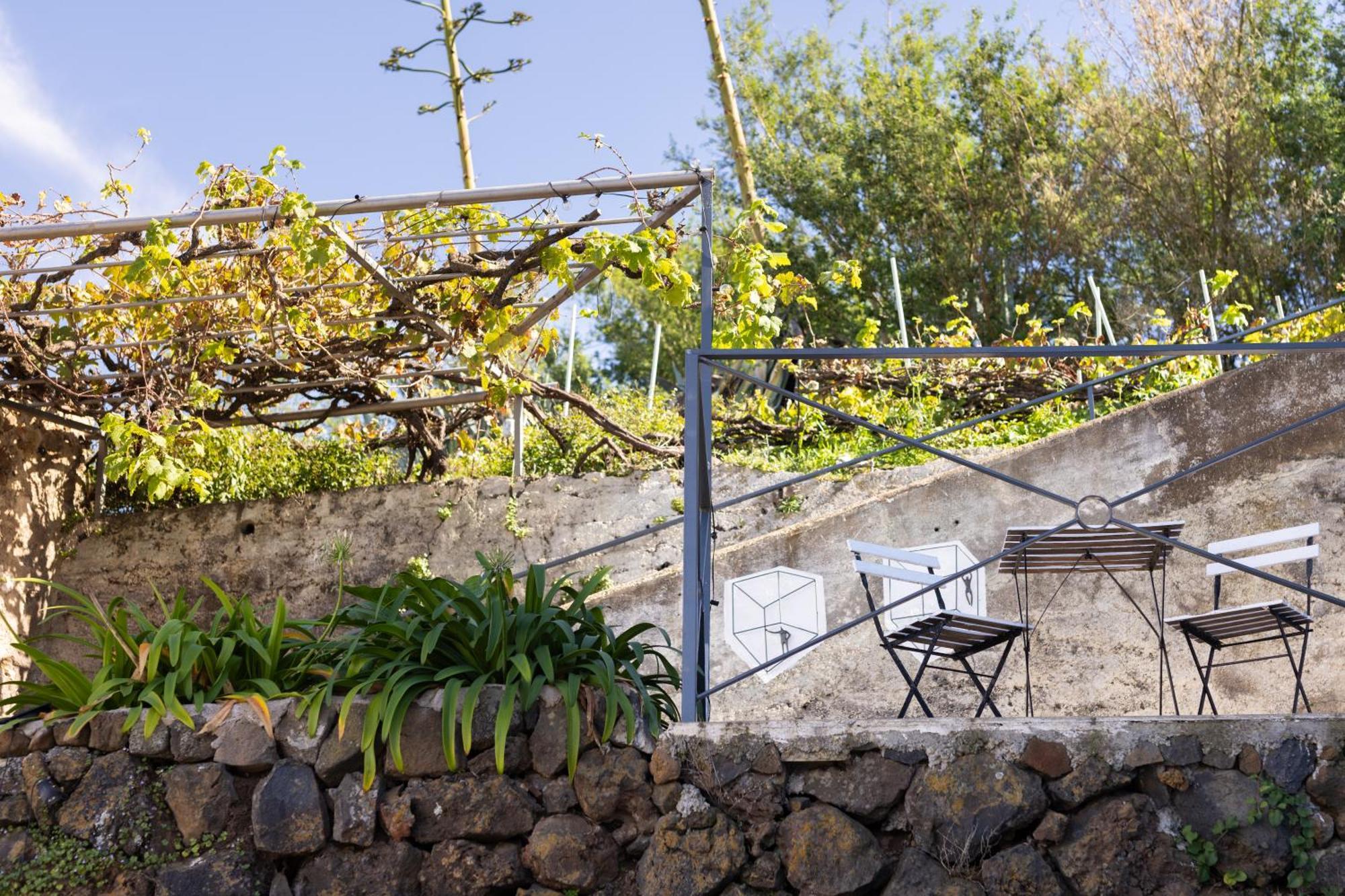 Ek Teide Finca El Milagro La Orotava Eksteriør billede
