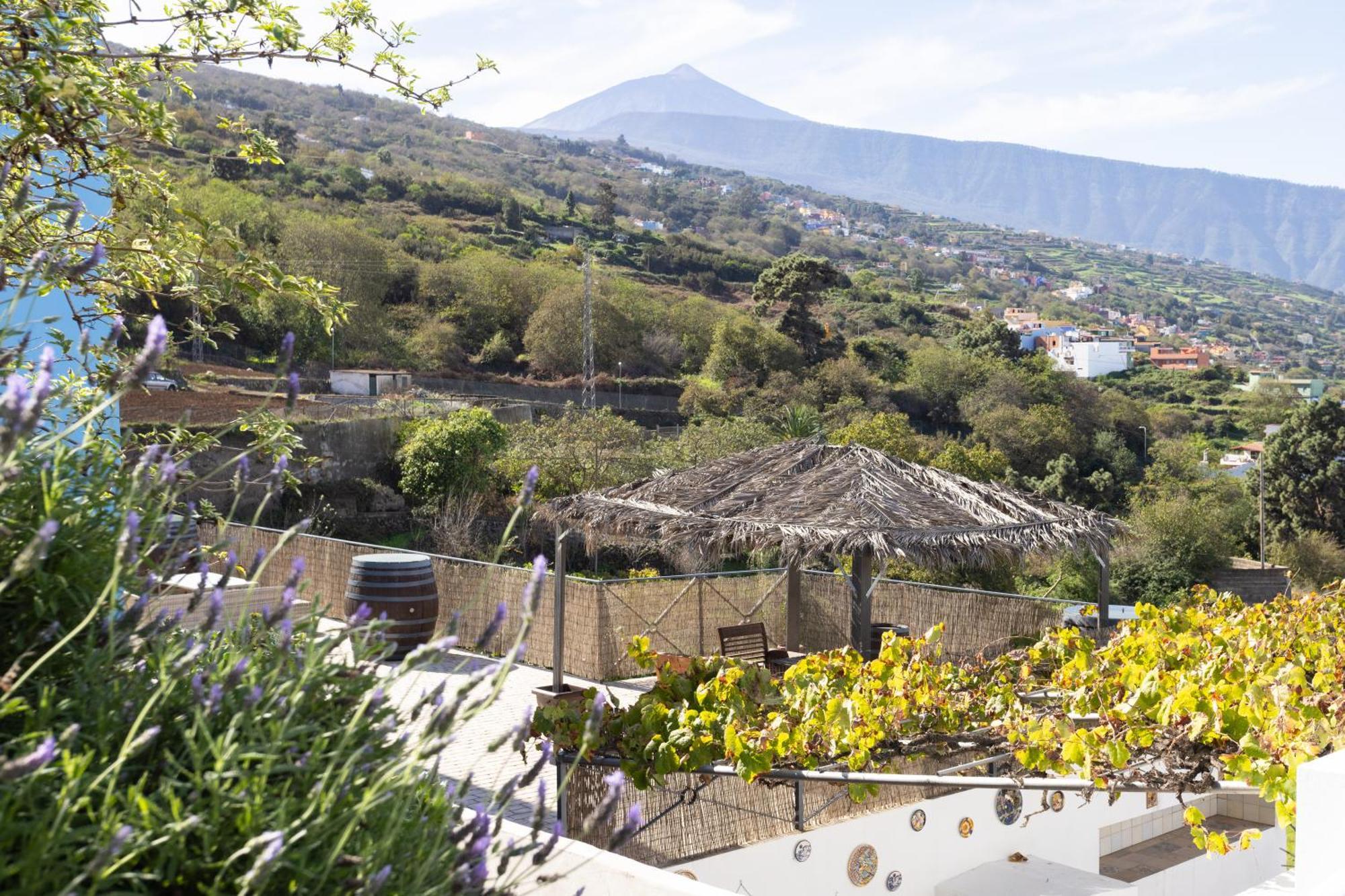Ek Teide Finca El Milagro La Orotava Eksteriør billede