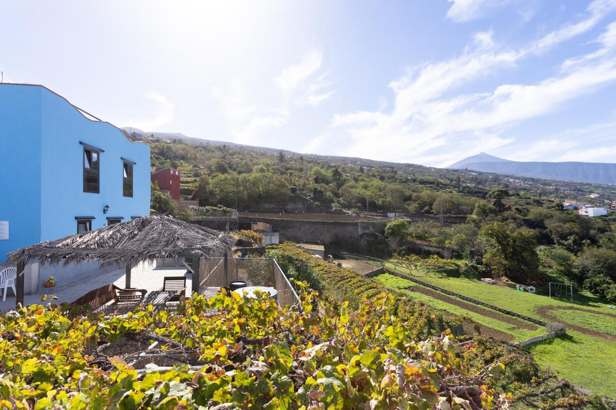 Ek Teide Finca El Milagro La Orotava Eksteriør billede