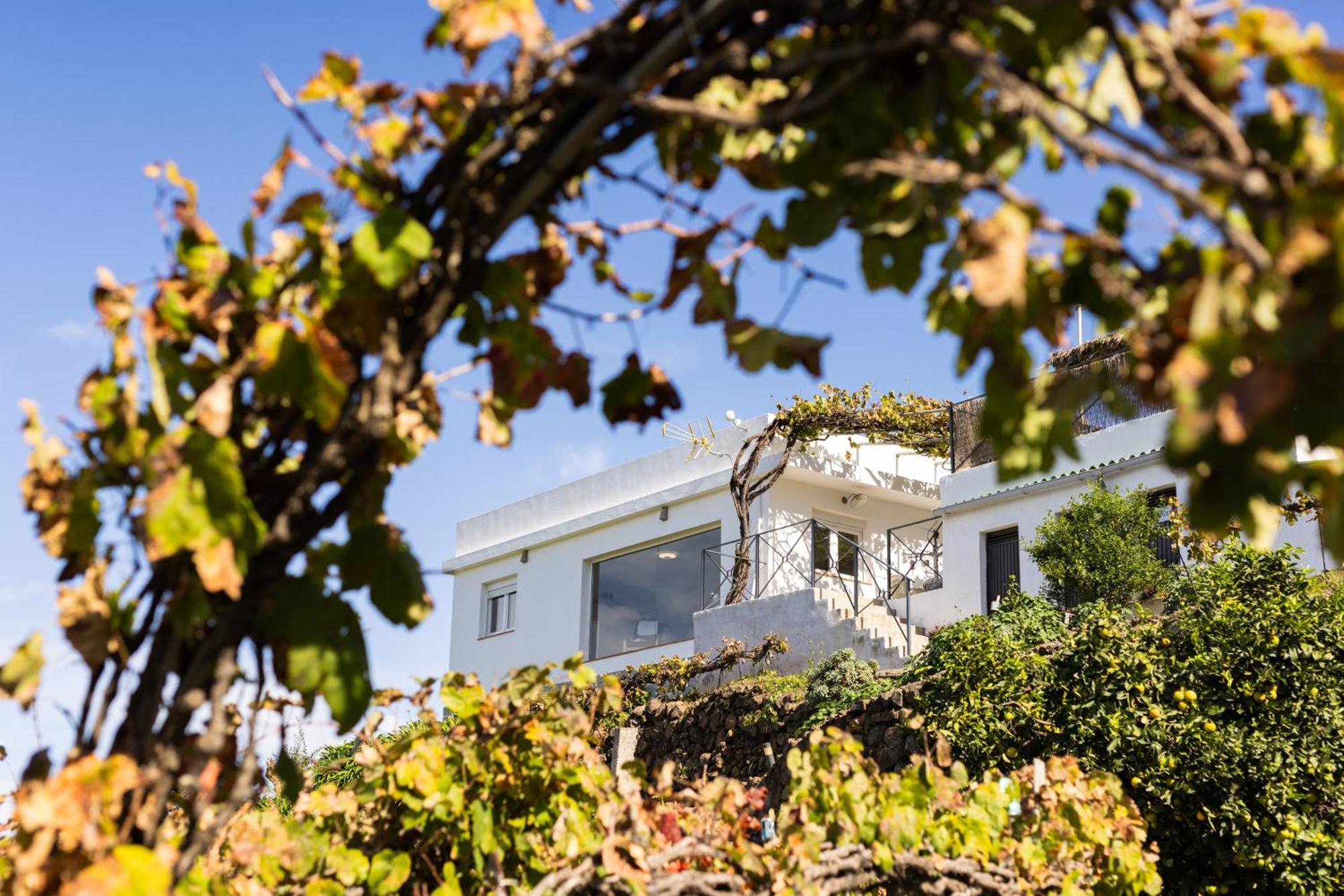 Ek Teide Finca El Milagro La Orotava Eksteriør billede